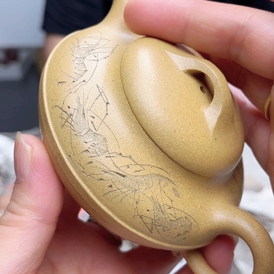 茶壶绿泥今天晚上的我