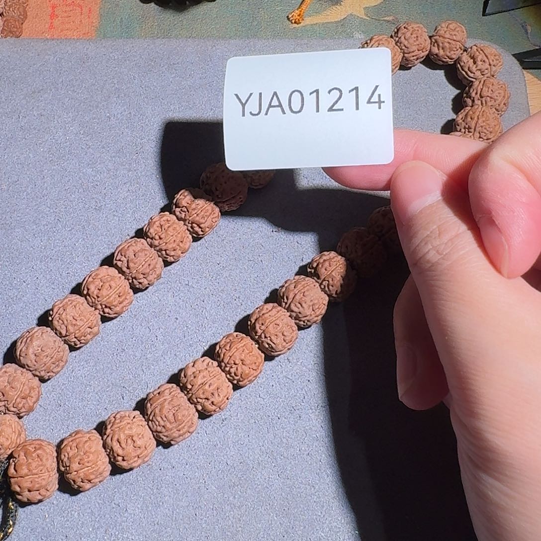 張***。金刚菩提吊坠老树王手持