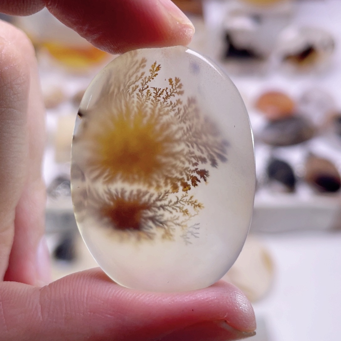 未镶嵌颈饰玛瑙/玉髓