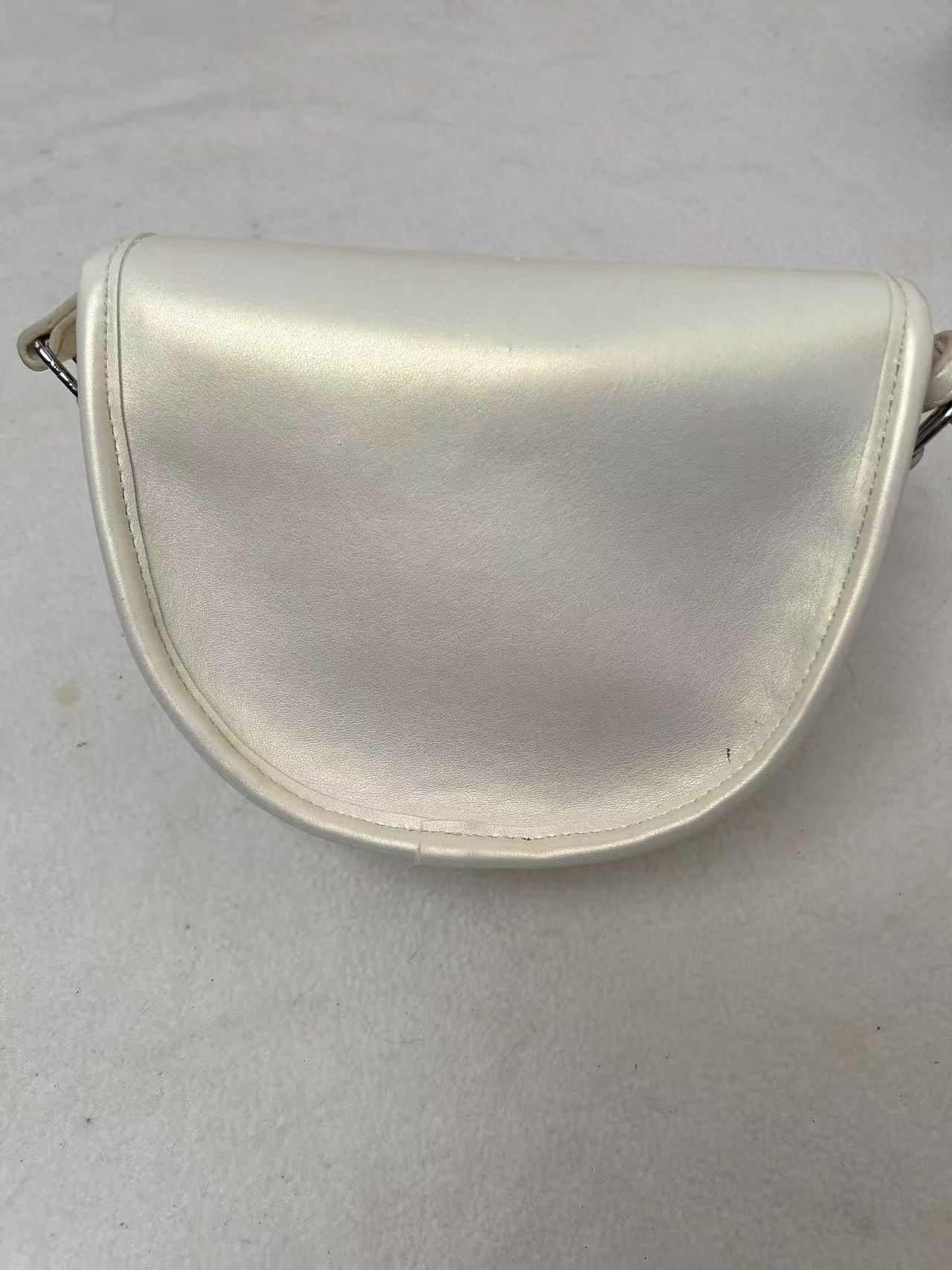 A18  蛇年新款女士小众百搭精品单肩