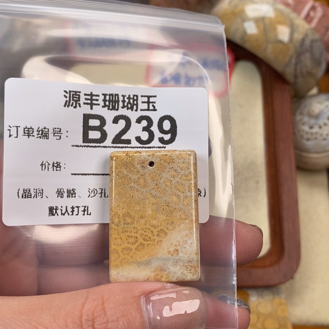 硅化玉颈饰未镶嵌小*子