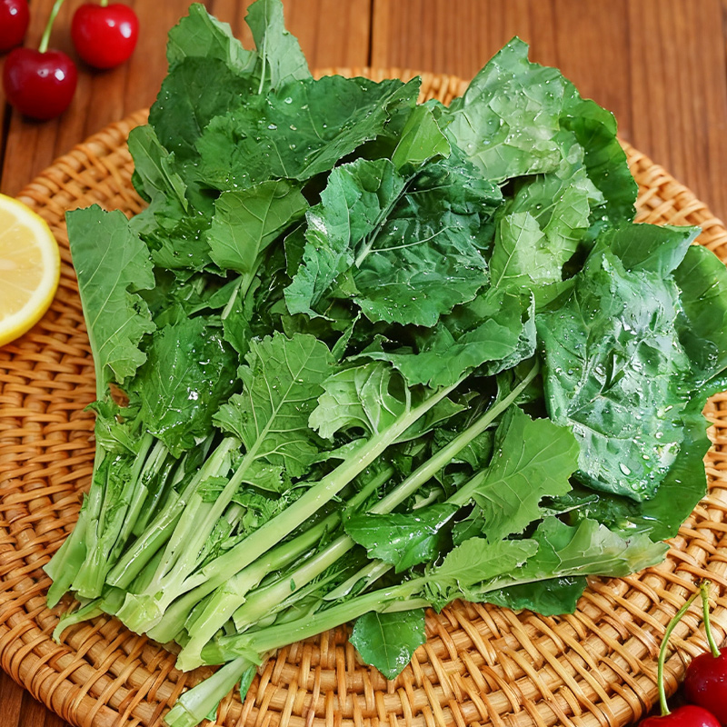 沈佳农有机板蓝根青菜网红菜300g