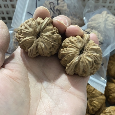 人***个文玩核桃把件哈哈哈