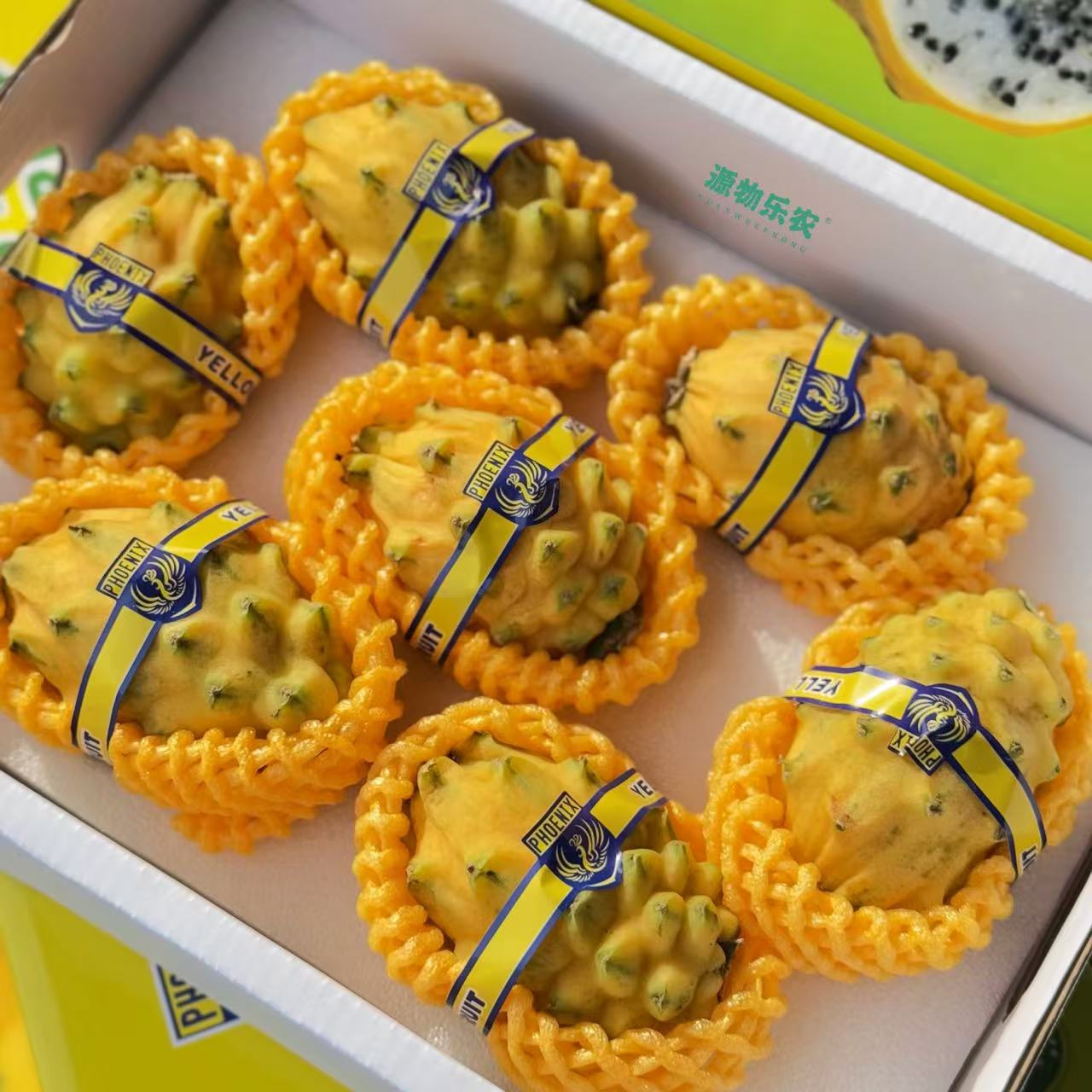 燕窝果-（礼盒）1250g