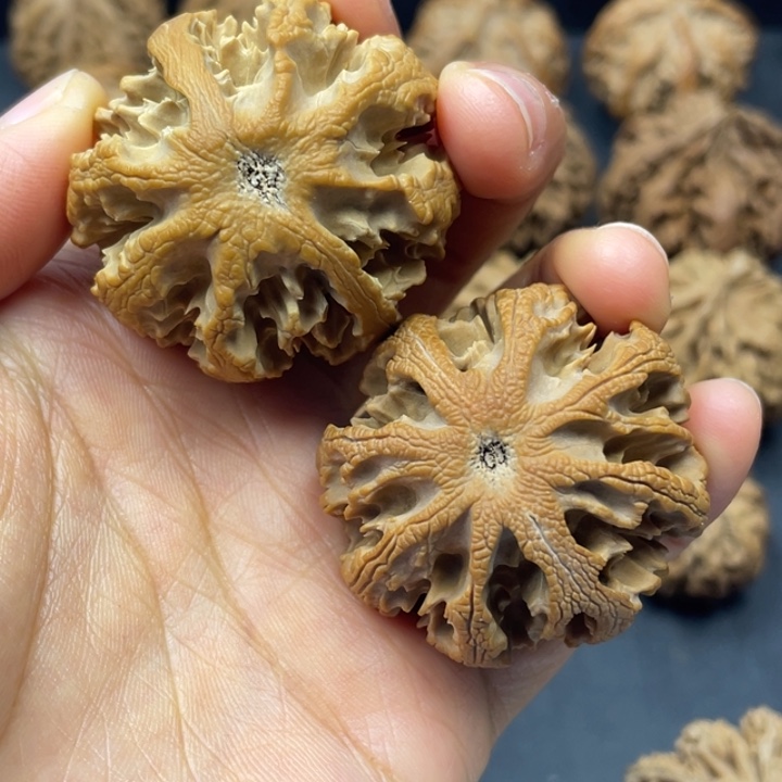 道***邵文玩核桃吊坠突突突突突突突