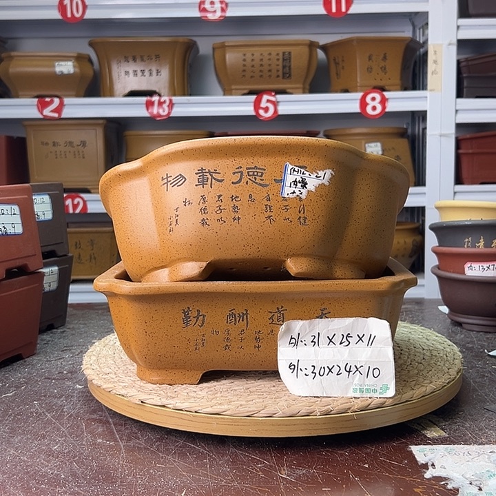 紫砂花盆蛇年大吉