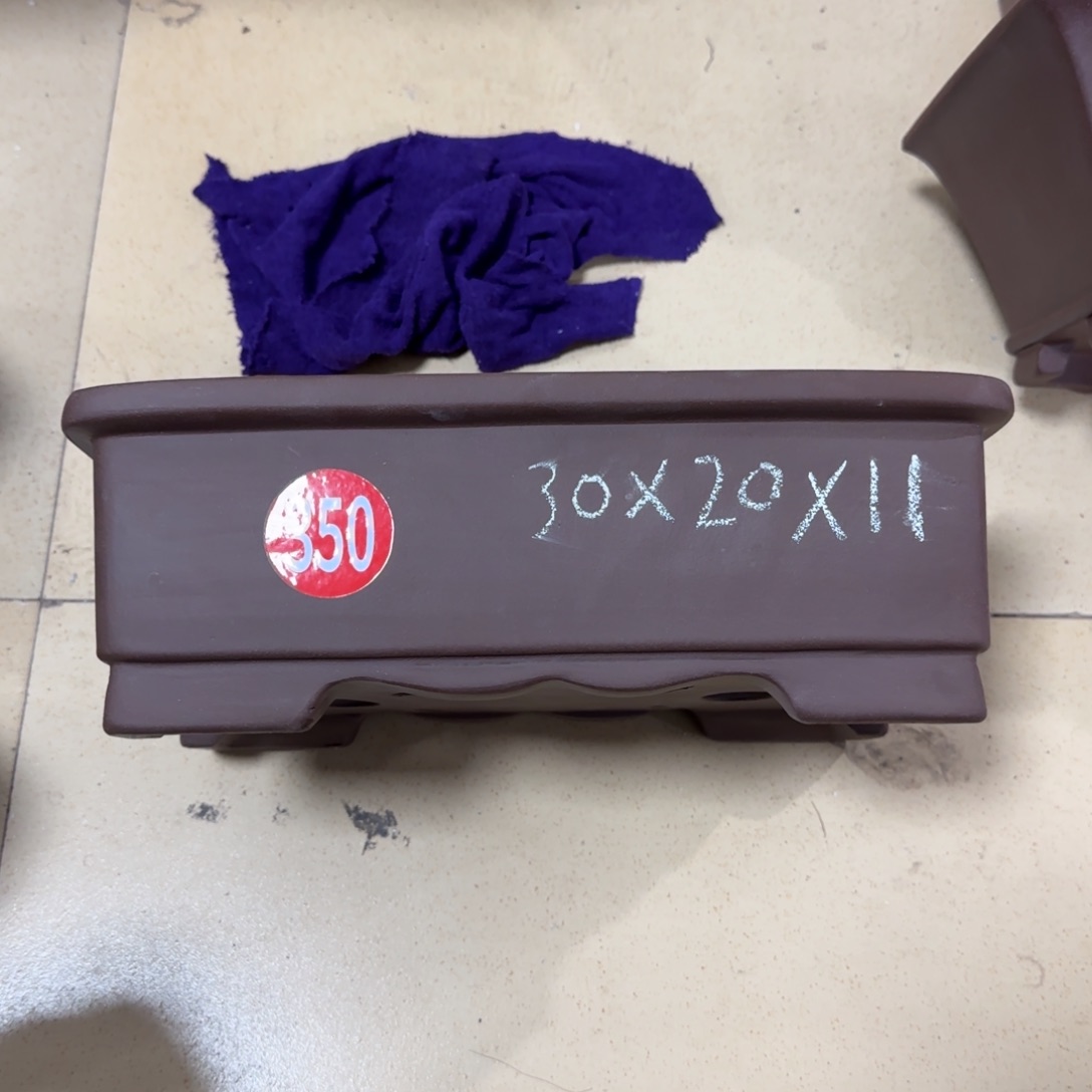 紫砂花盆我呜呜呜呜呜我