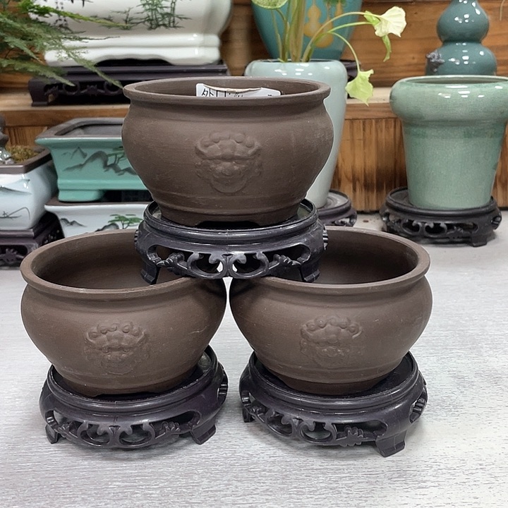 陶瓷花盆紫砂花盆抢购福利