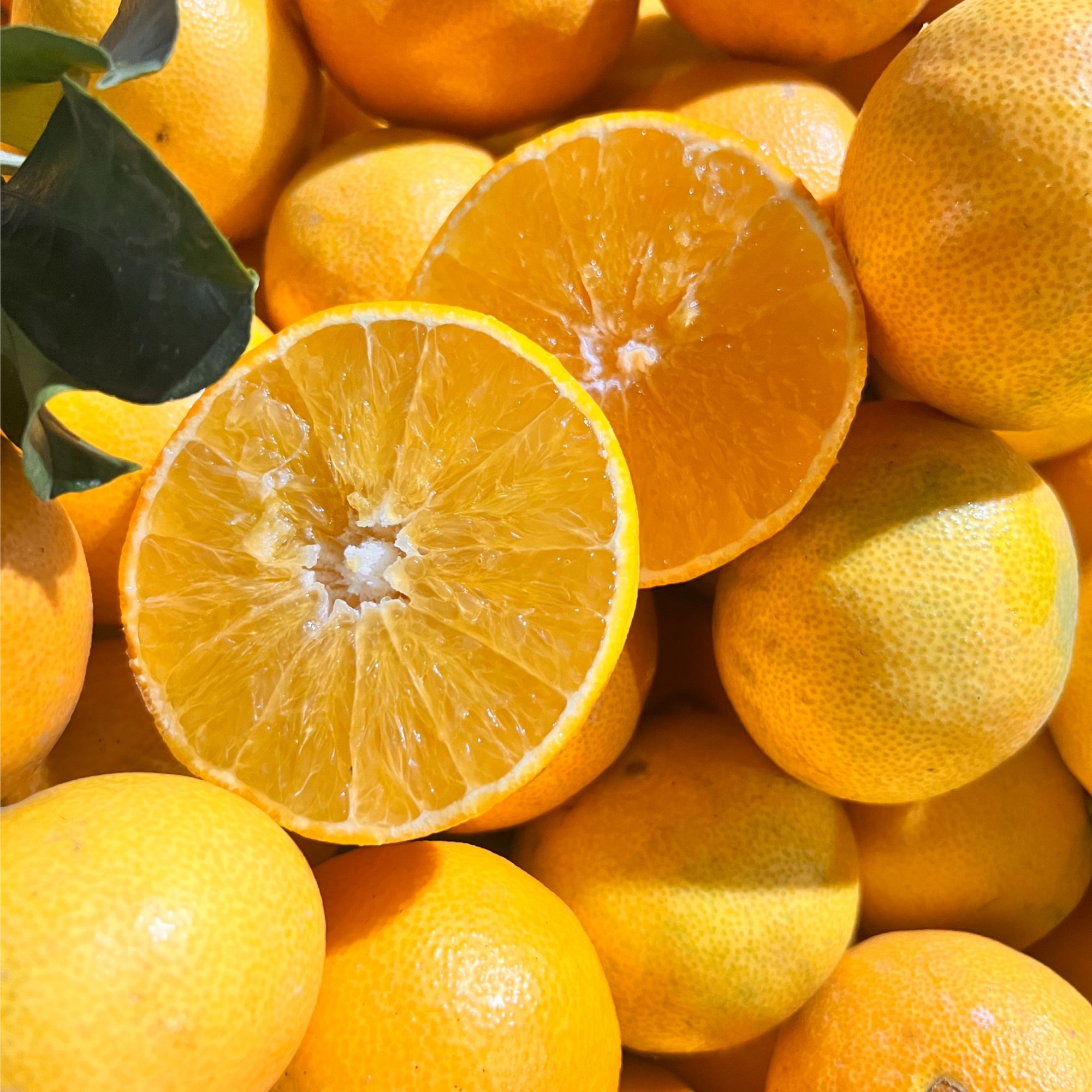 爱媛38号果冻橙新鲜应季爆甜多汁现摘现发