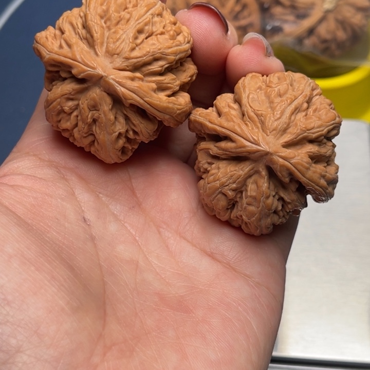 文玩核桃把件粗筋40