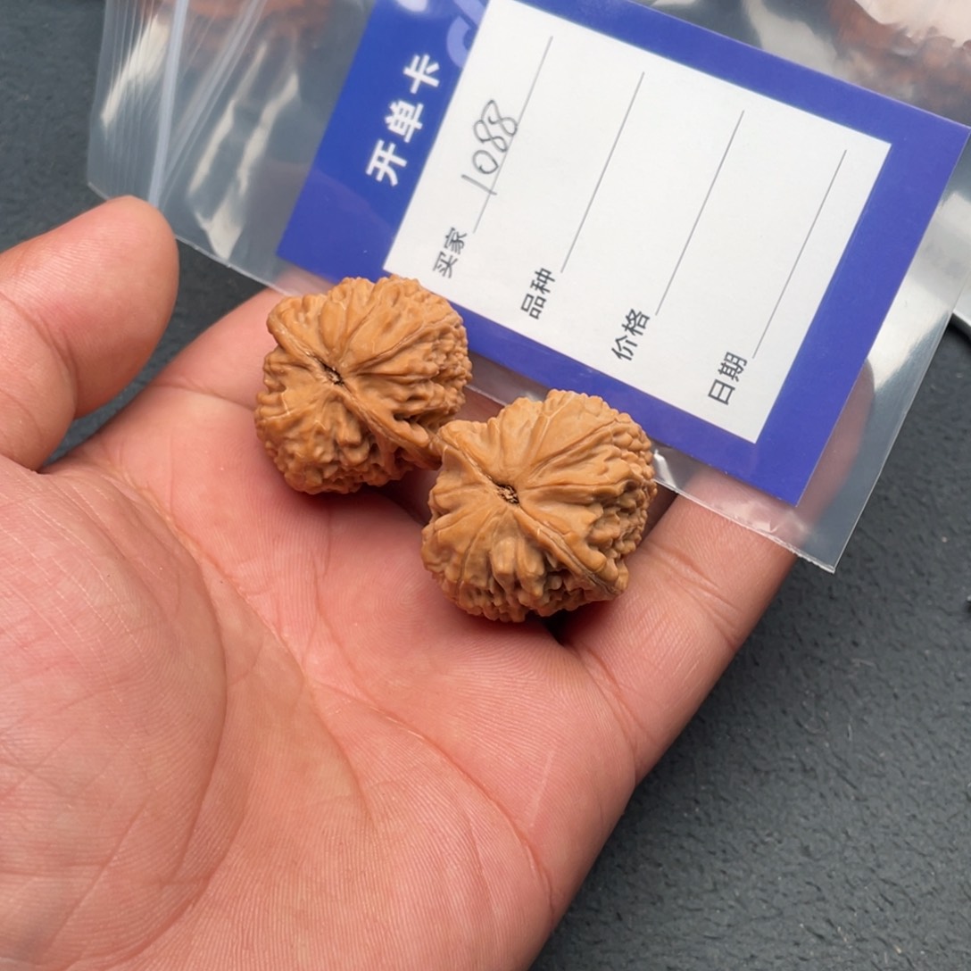 核桃把件32白狮子，1088号