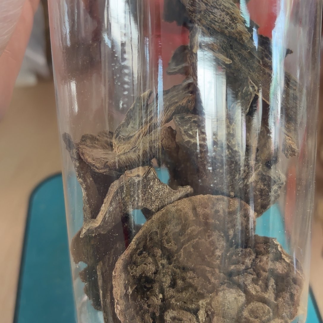 沉香沉香碎屑圆*海南壳子28克