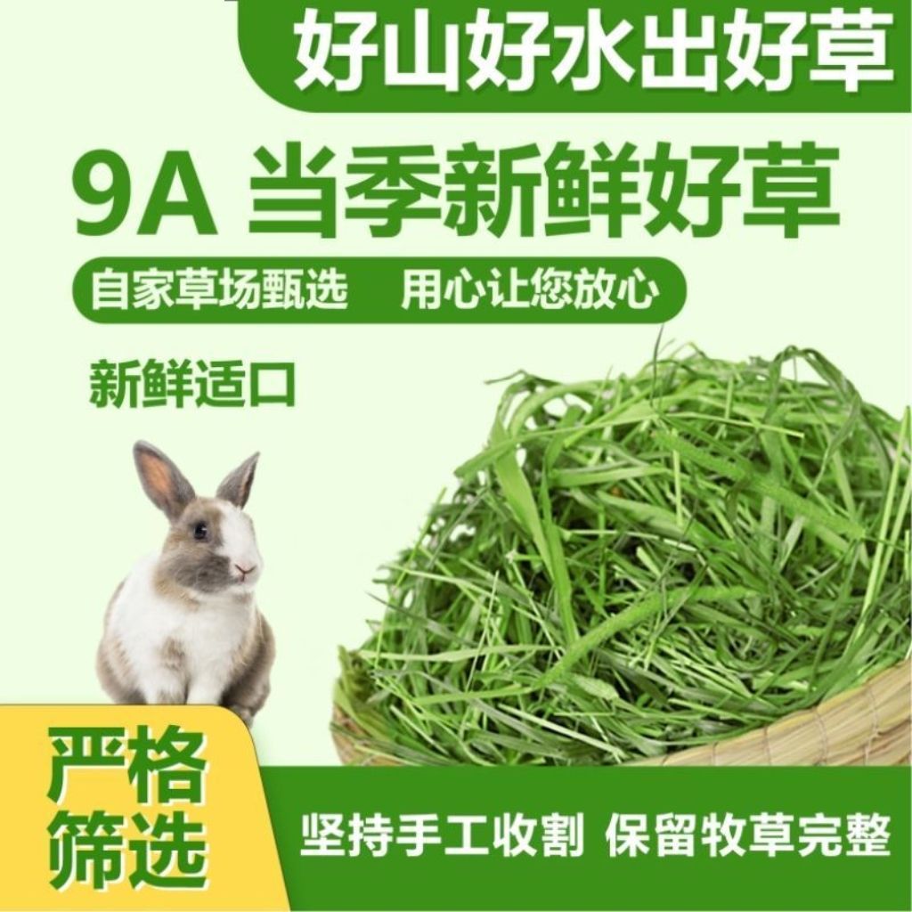 烘干提摩西草段兔子豚鼠龙猫营养干草牧草主食粗纤维饲料