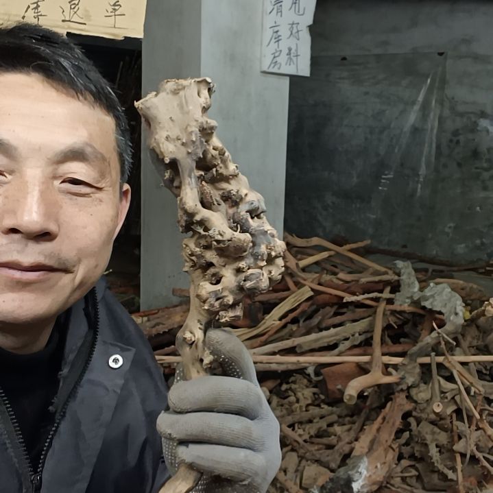 稳定木葫*哥贵州檬子木   铁马鞭   根艺  半成品