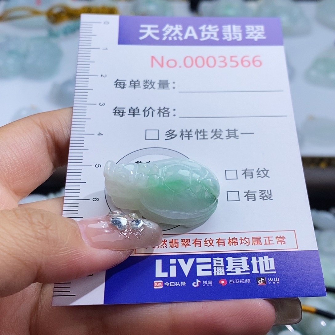 翡翠未镶嵌颈饰3566