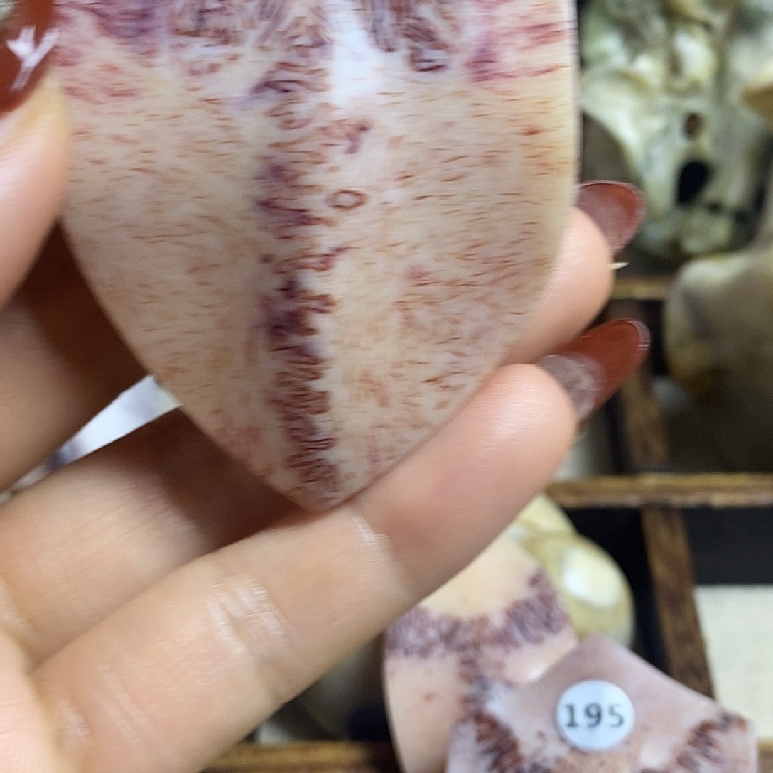 李***门鹿骨手串/手链养殖鹿鹿三界手把件