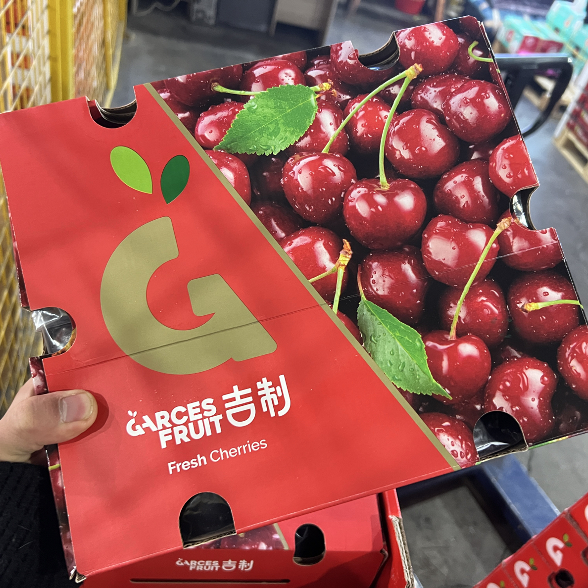 【海运】吉制4JJJJ桑提娜车厘子-净重5斤（内附果径卡）桑提娜智利