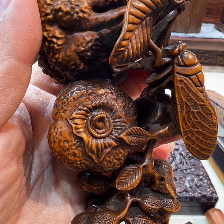 楠木……………………………………………………