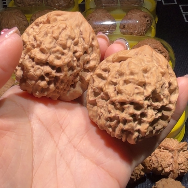 龙鼎48龙鼎龙鼎48龙鼎