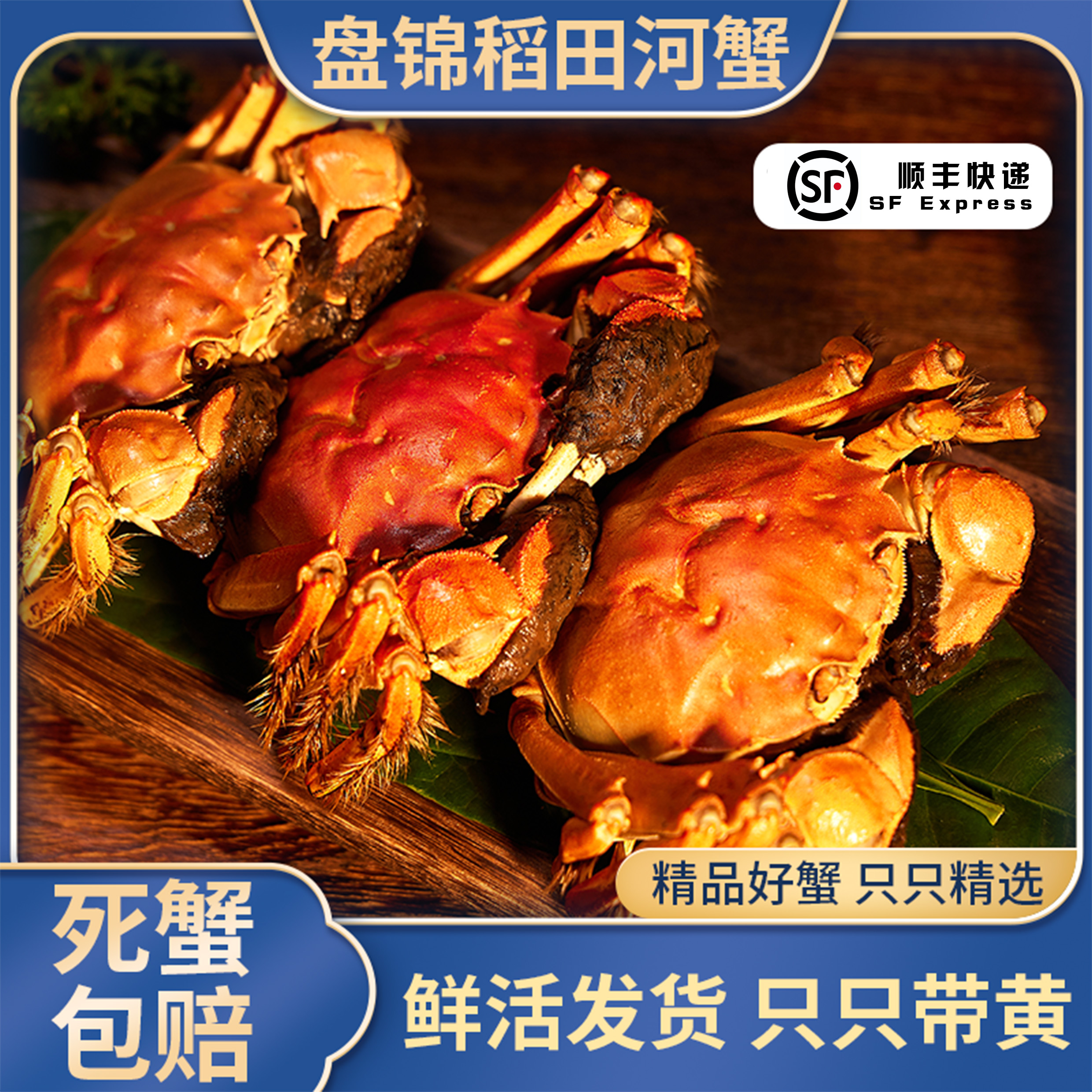 【活蟹】+盘锦河蟹海鲜+全母蟹(1.3两-1两)只到手2.5斤顺丰包邮