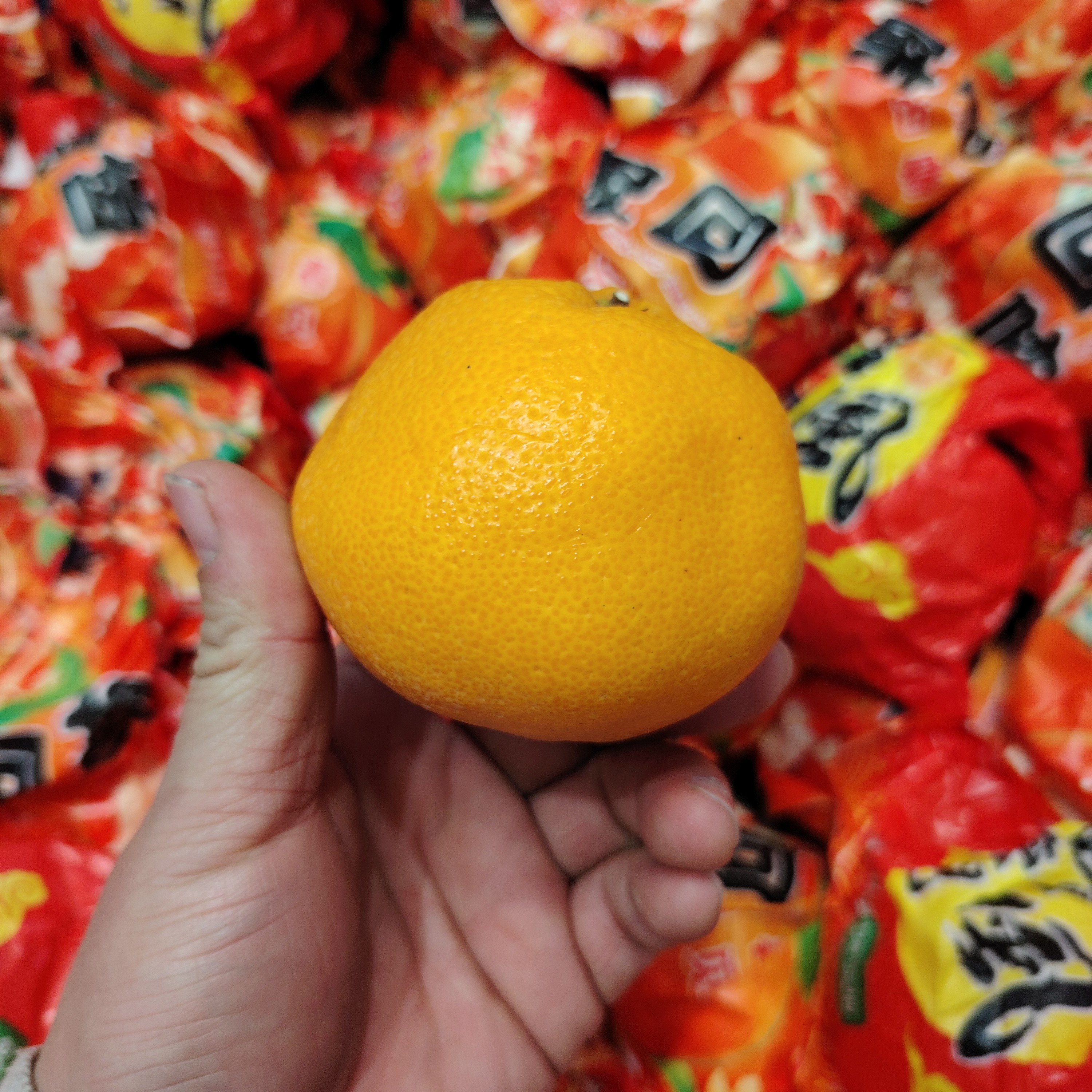 （廉江同城）精品耙耙柑12.8一斤