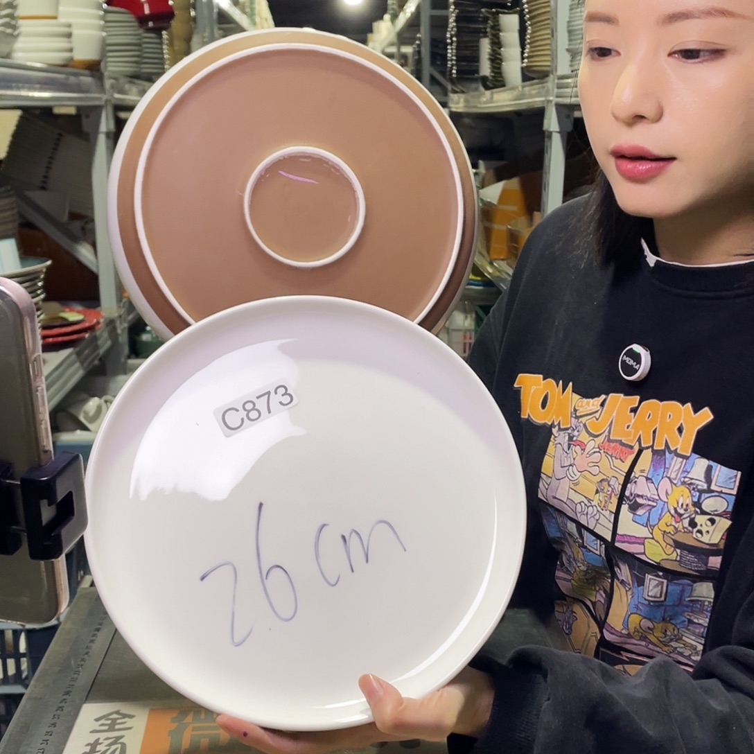 瓷片873             2个