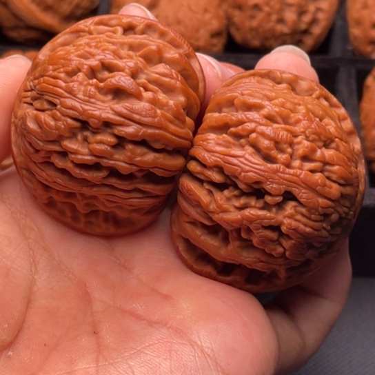 文玩核桃把件秦岭山脉核桃