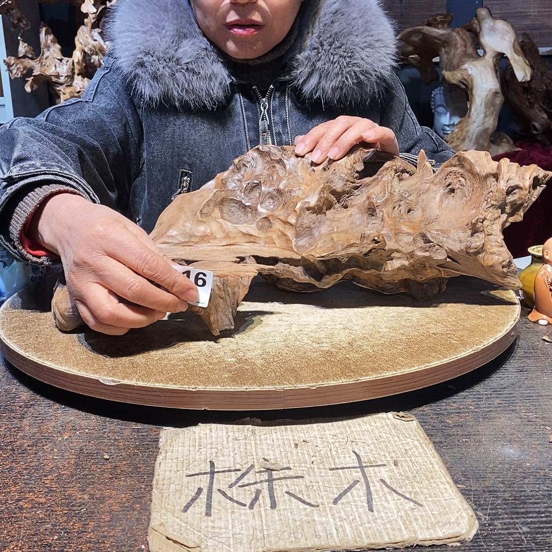 杨***916。株木随行根艺