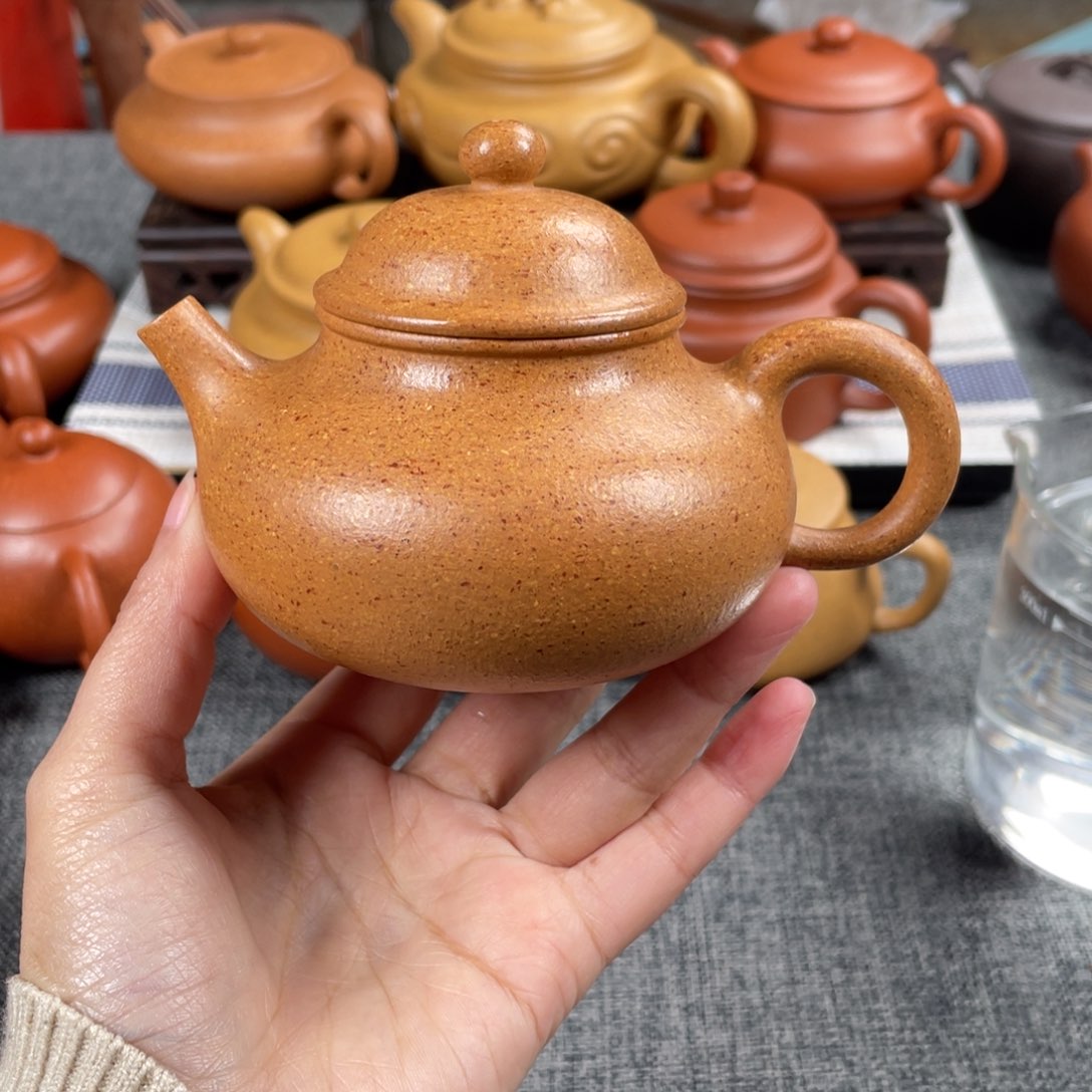 紫砂茶壶30目黄降坡180容天全手