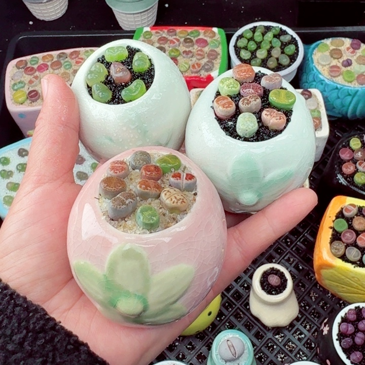 575零下地区记得拍保温箱满18包邮