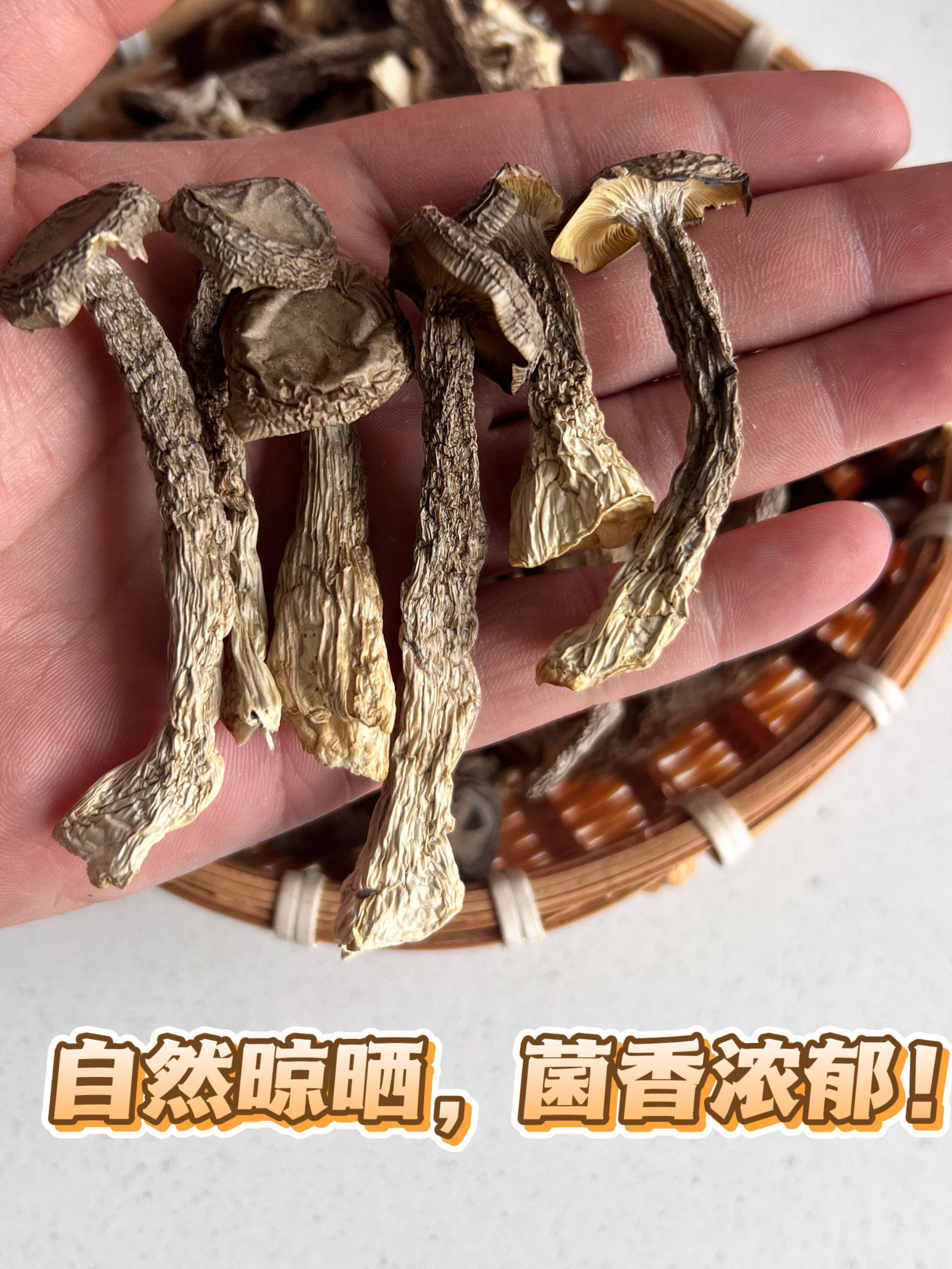 东北林区半野生鹿茸菇干货口感脆爽菌香浓郁自然晾晒不熏硫大袋装