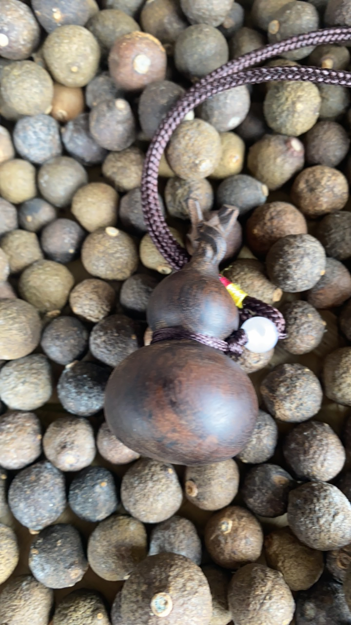 【阿雅专属南北】1006菇19g起