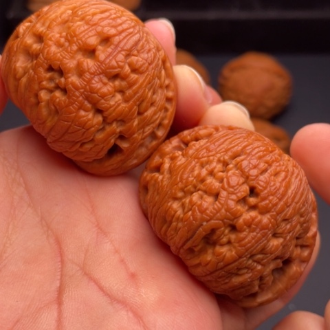 文玩核桃把件秦岭山脉核桃