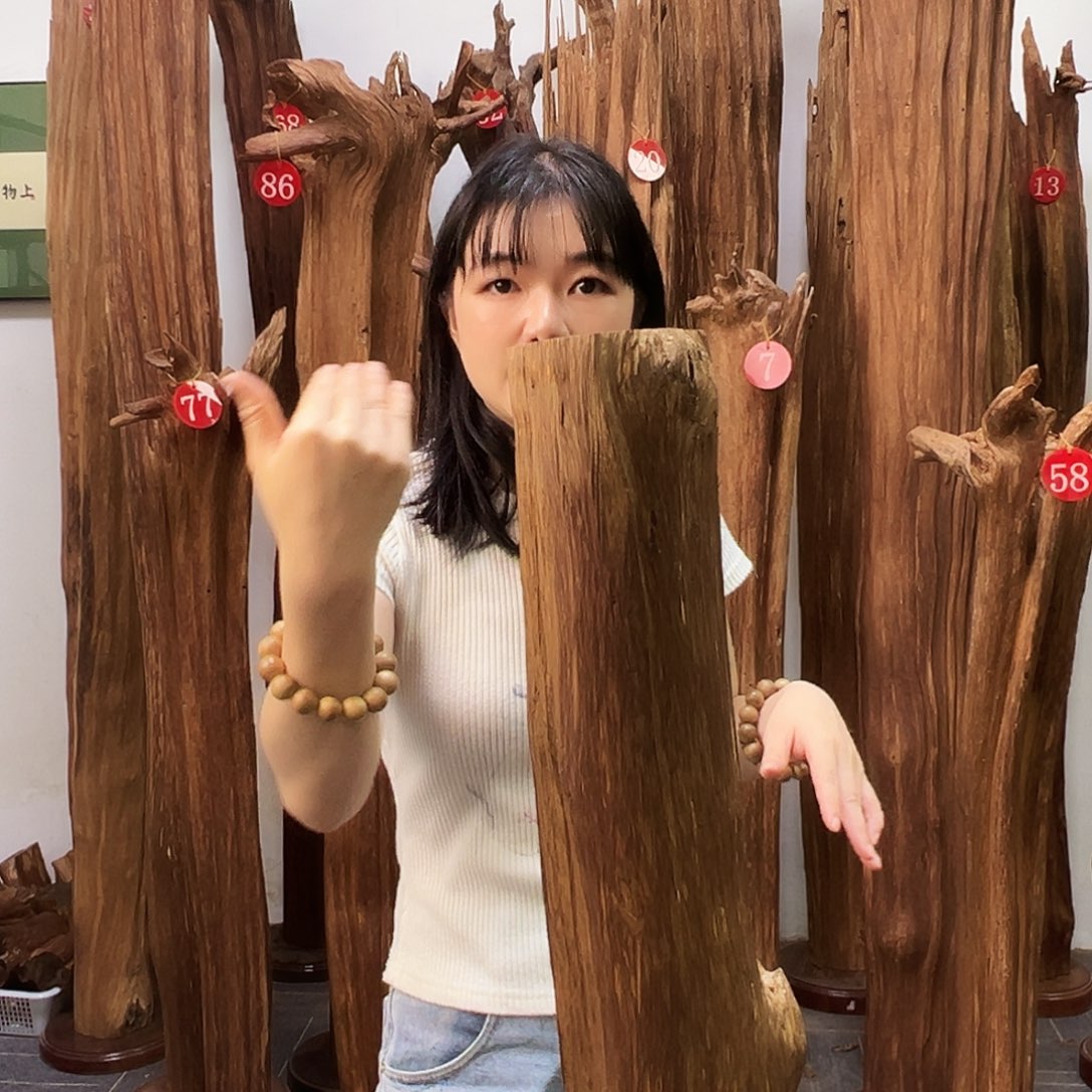 沉香沉香碎屑天然沉香原料香料