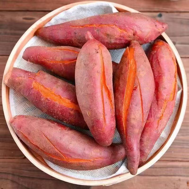 云南现挖正宗黄心糖心西瓜红蜜薯软糯香甜红薯