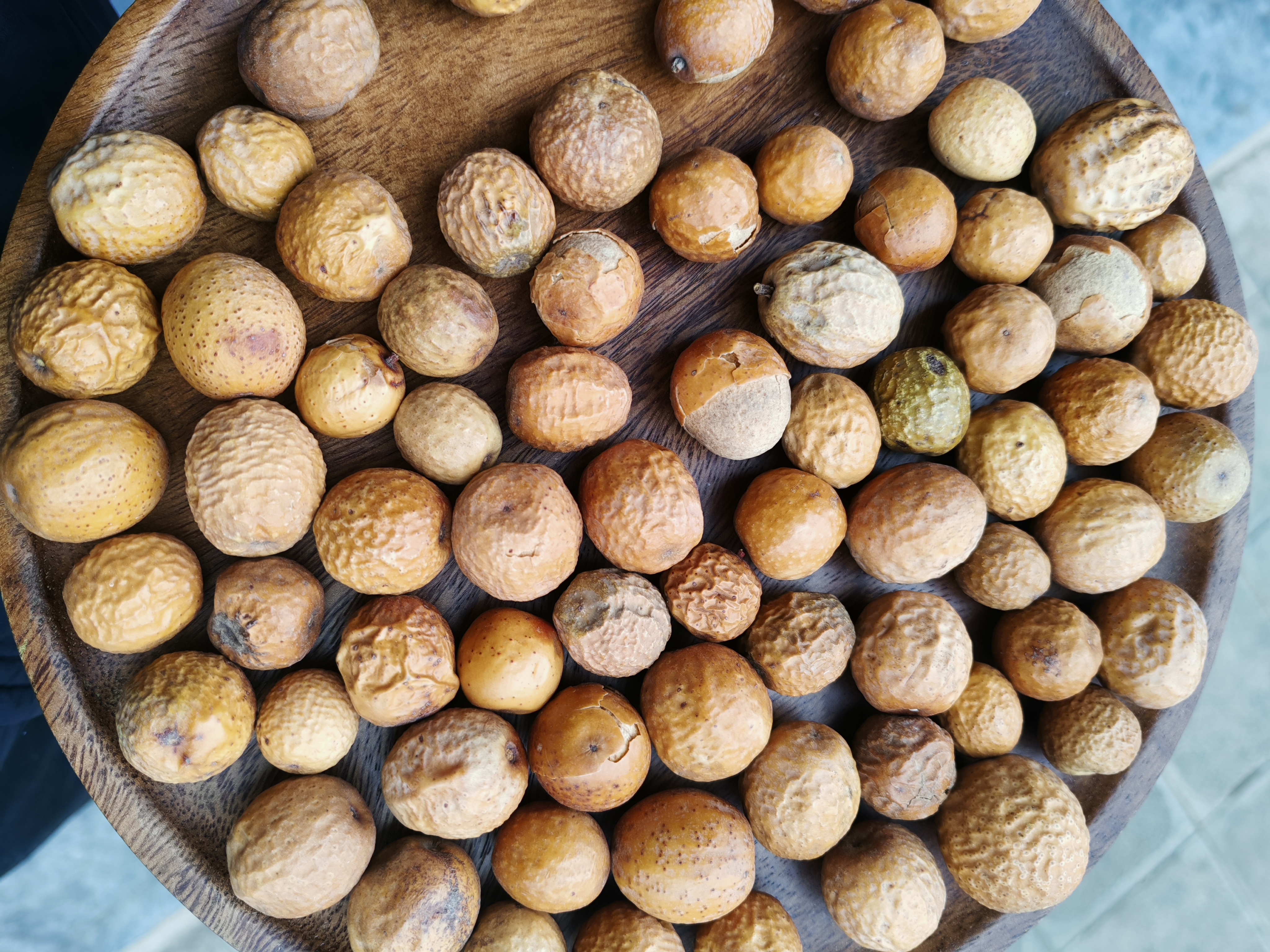 云岭深山好物云金灵