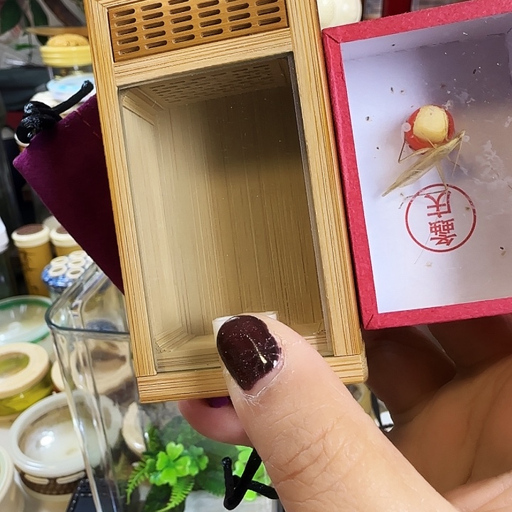 没***想缘字款竹盒➕柬竹啊啊啊啊啊