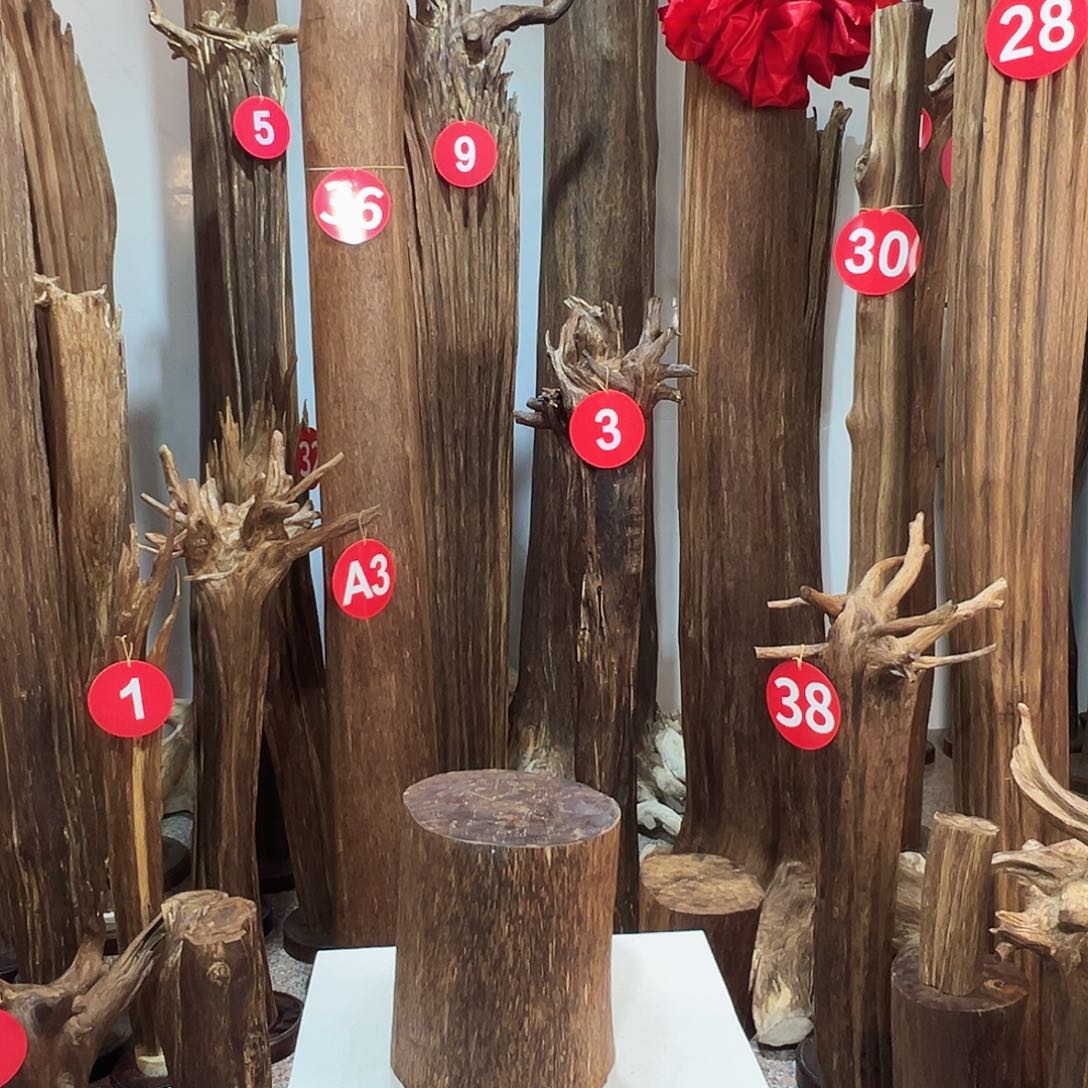 小***播沉香摆件沉香原料