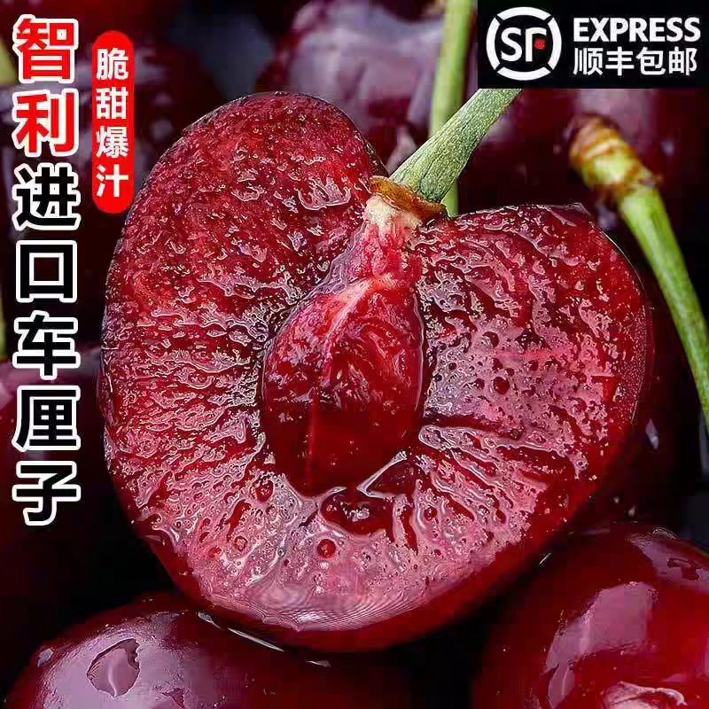 智利空运进口桑提娜车厘子水果孕妇整箱樱桃2 - 4J D内附果径卡C