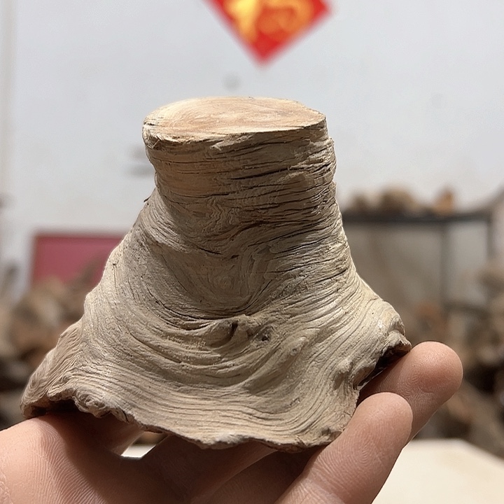 柏木同*我们的生活也是如此