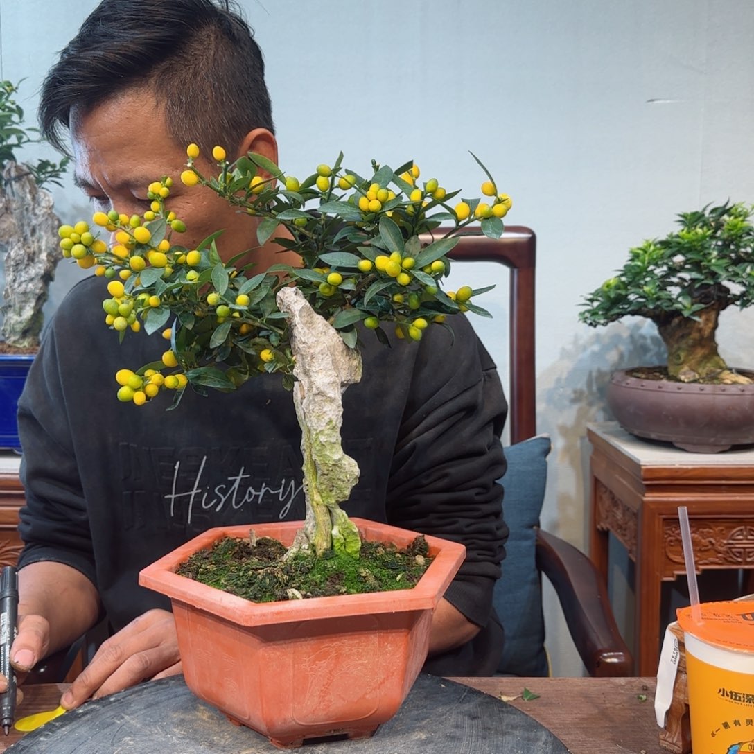 少量花朵（建议范围：2朵-5朵 或40%以下）博**煌