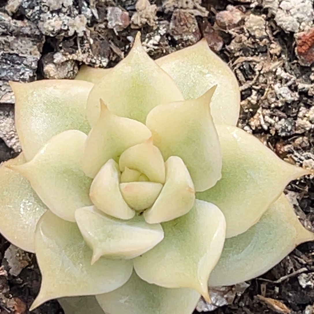 尚品特价贝加尔湖锦