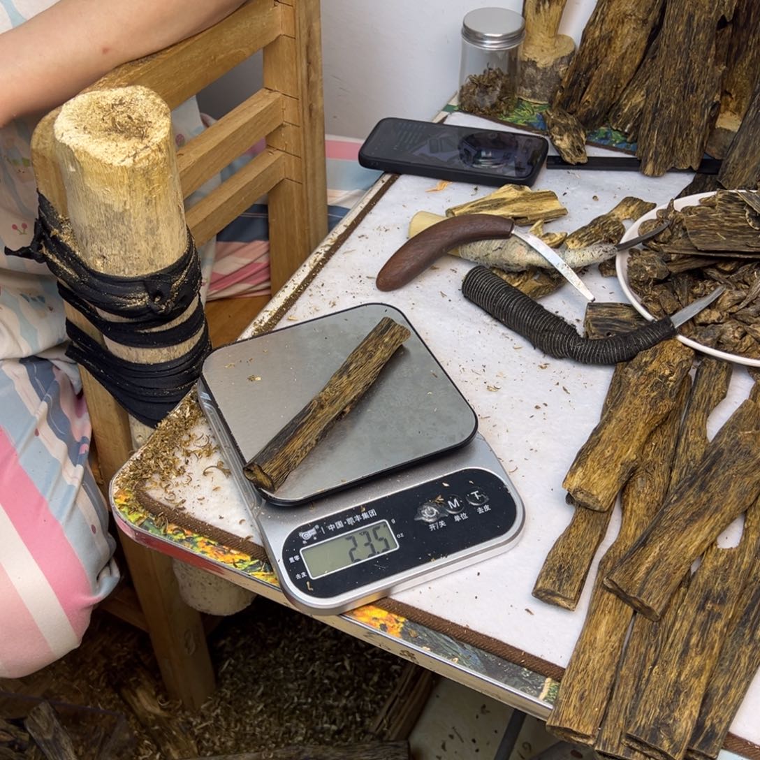 线香奇楠虫漏香23克
