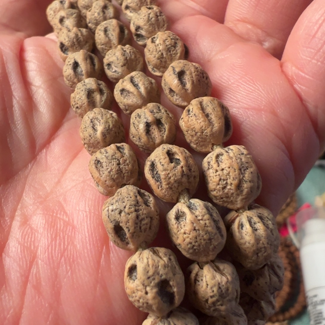 吊坠柏香籽/百香籽F908