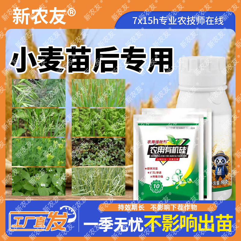 新小麦苗后专用安全型不伤麦苗厂家直销农用有机硅助剂