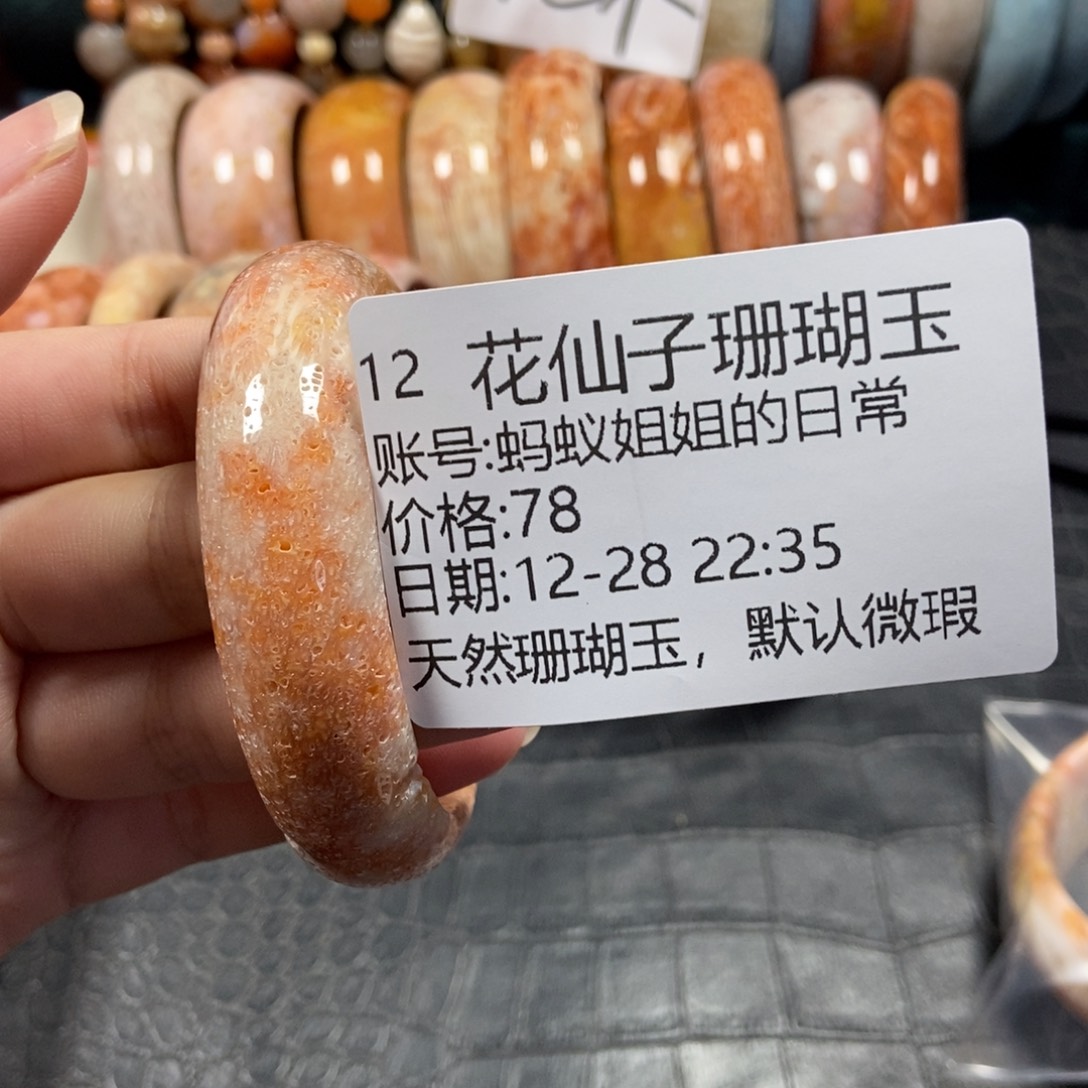 蚂***常硅化珊瑚（珊瑚玉）未镶嵌珠宝半成品12