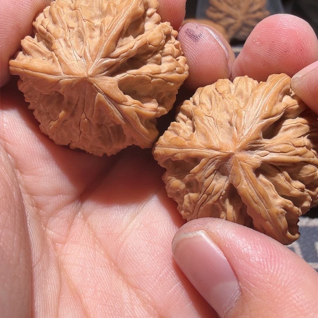 文玩核桃把件艾**年御龙