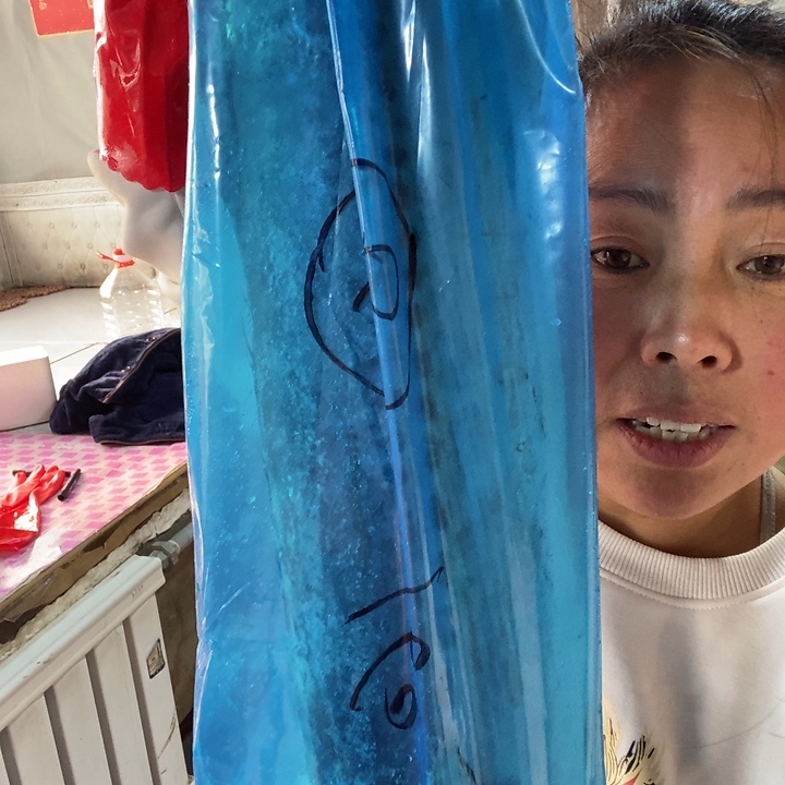 中国大陆渤海湾野生燕鲅鱼6号