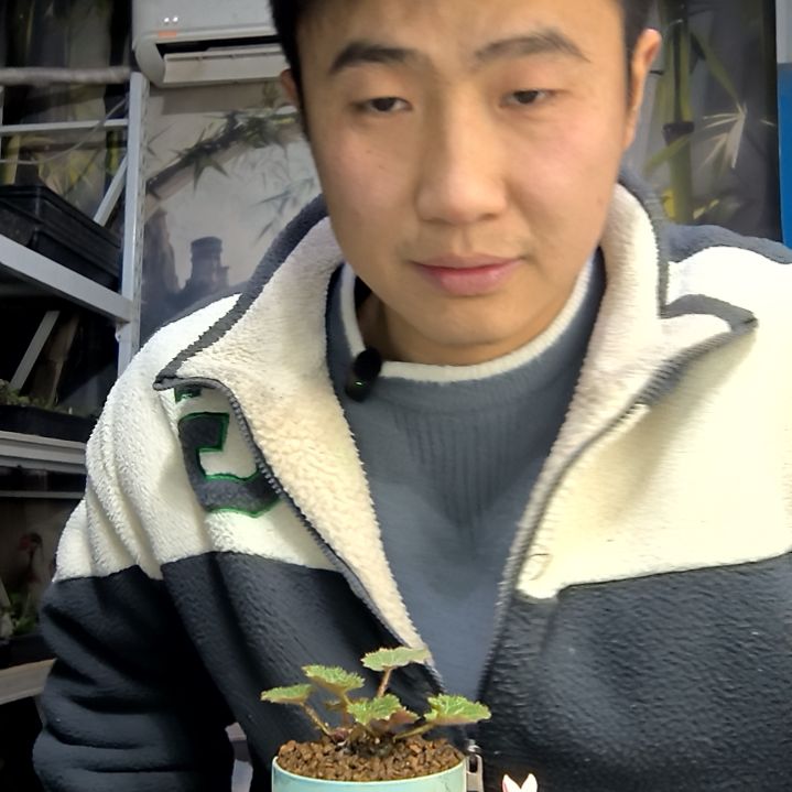 用***2中青园艺一物一拍花299