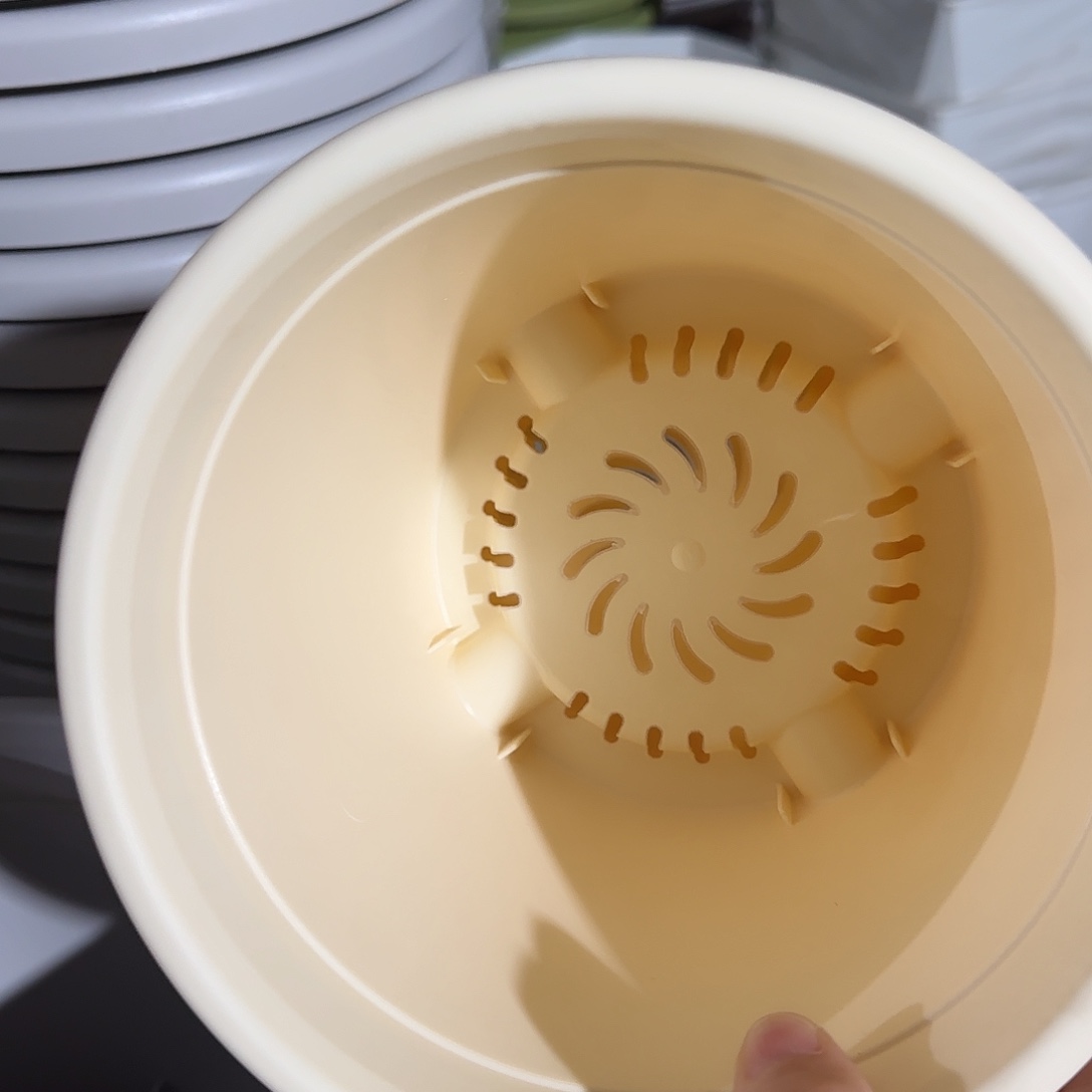 树脂四季2号无托12个米黄微瑕